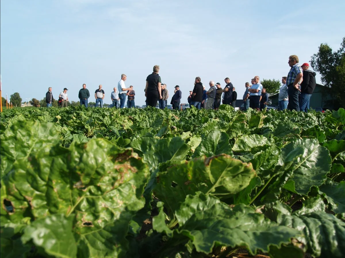Programmet for KWS’ grillarrangementer i roemarkerne indledes med en times komprimeret faglig gennemgang.