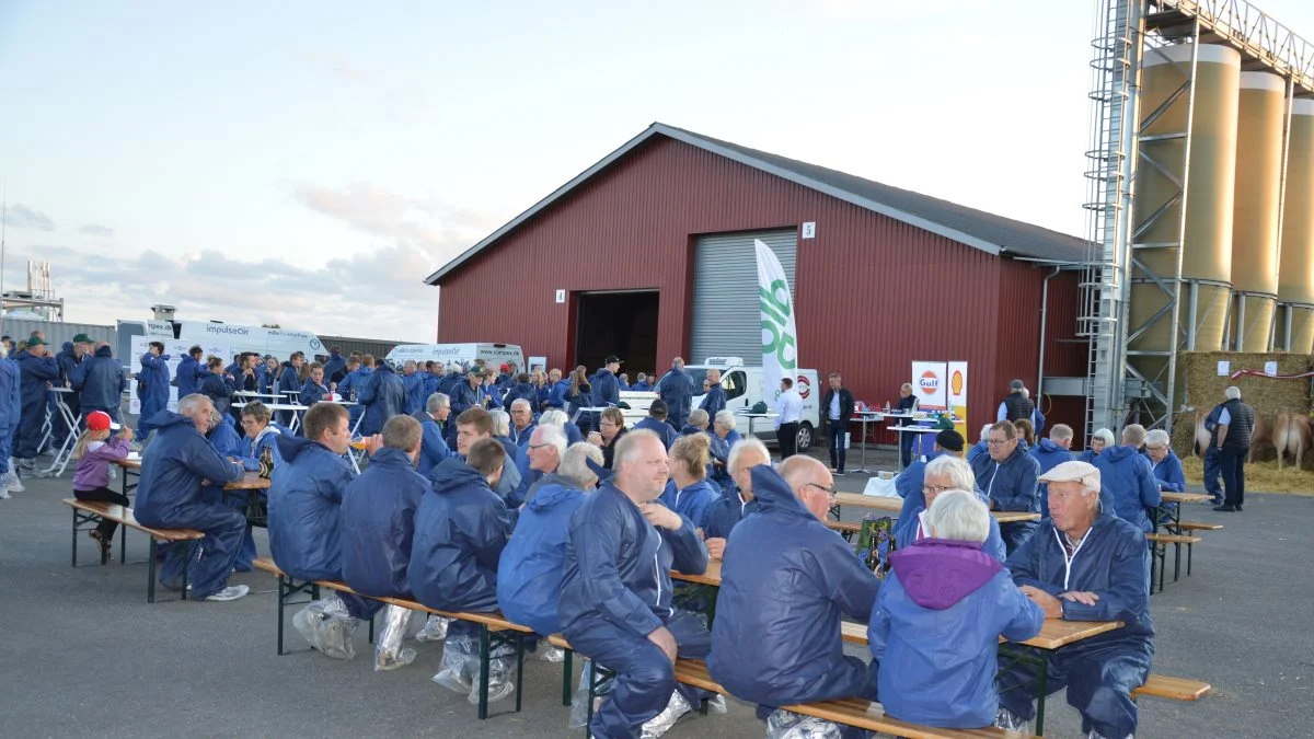 Ikke mindre end 350 jersey-folk og andre interesserede fandt den første tirsdag i august vej til Andekærgård på Tåsinge, da aktivitetsudvalget i Jersey Fyn inviterede til besætningsbesøg og grillaften. Fotos: Camilla Bønløkke