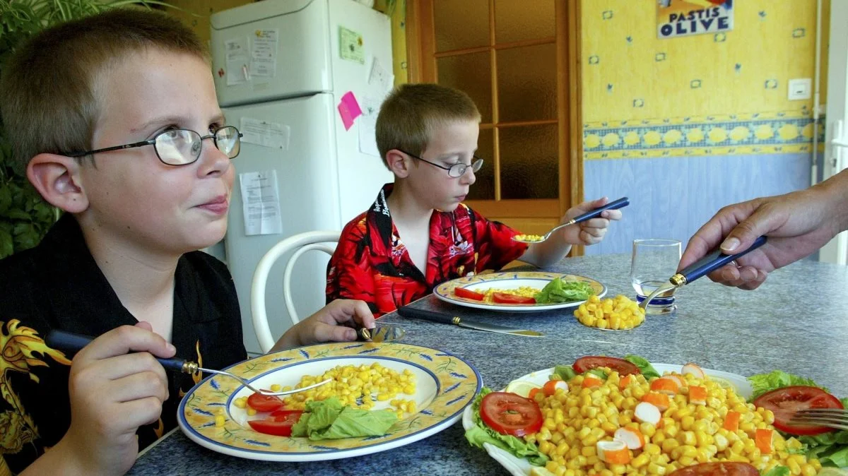 Der er stort fokus på sund madkultur i disse år. Nu vil Fødevarestyrelsen også sætte fokus på madkulturen hos skolebørn og madkulturen i spisepauserne. Foto: Colourbox