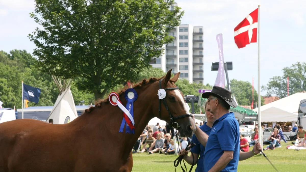Afviklingen af næste års fynske dyrskue er blevet rykket fra den oprindelige weekend i begyndelsen af juni til fredag den 17., lørdag den 18. og søndag den 19. juni. Billedet er fra det seneste skue i Odense i 2019. Foto: Erik Hansen