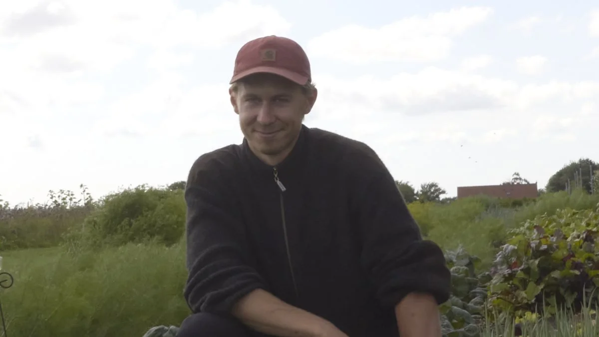Mads Rubæk har farmor i tankerne når han luger den ene række efter den anden. Han har 0,7 hektar med grøntsager, hvor alt laves i hånden.  