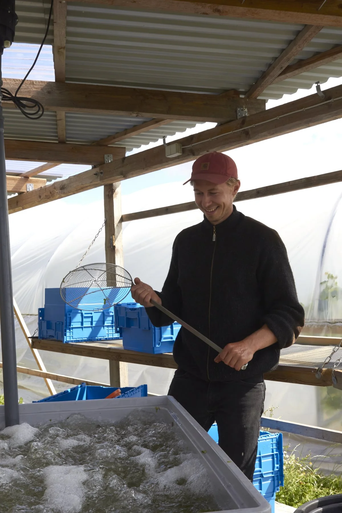 Lidt brugt udstyr fra hans fars gamle svinestald og vupti, så har man et boblebad til salat, eller en salatvasker.