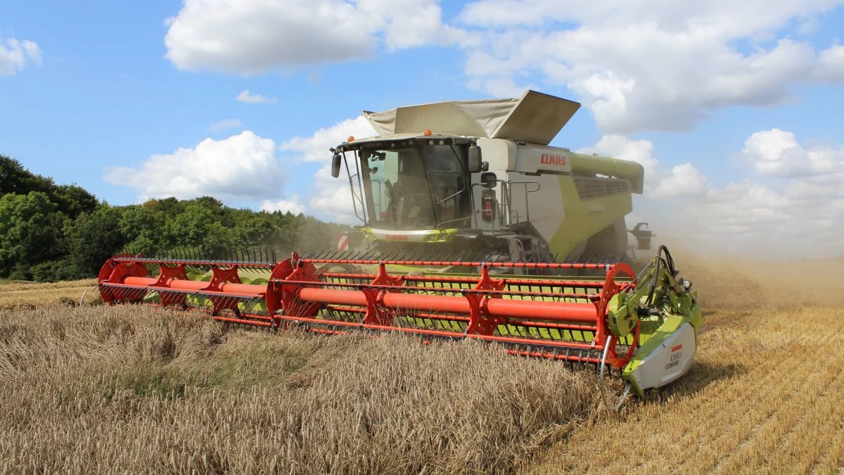 Skyggebjerg Maskinstation har denne Claas Lexion 6900 på prøve for tiden. Skærebordet er på 35 fod, og tanken rummer 12.500 liter. Fotos: Morten Ipsen