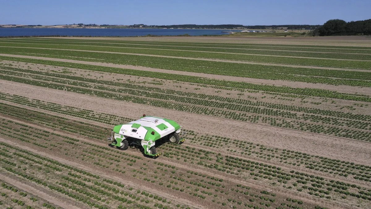 Den nye franskproducerede Naio Dino robot testes her på de økologiske arealer med salat på Agernæsgården ved Helnæs. Scan qr-koden og se den arbejde og vende for enden af marken helt ud til Aborg Bugt. Dronefoto og video: Per Jørgensen