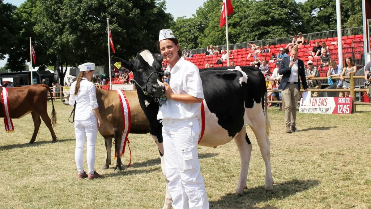 Denne godt 15 måneder gammel holstein-kvie opnåede titlen som Miss Teen, og det skabte selvfølgelig et stort smil hos Marianne Andersen. 