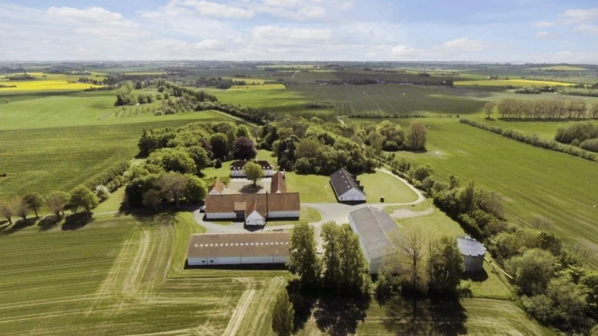 Store Flinterup har en hovedbygning på 523 kvadratmeter, og der hører 184,6 hektar jord til, der de senere år er blevet brugt på økologisk plantedrift. Foto: EDC Landbrug Poul Erik Bech