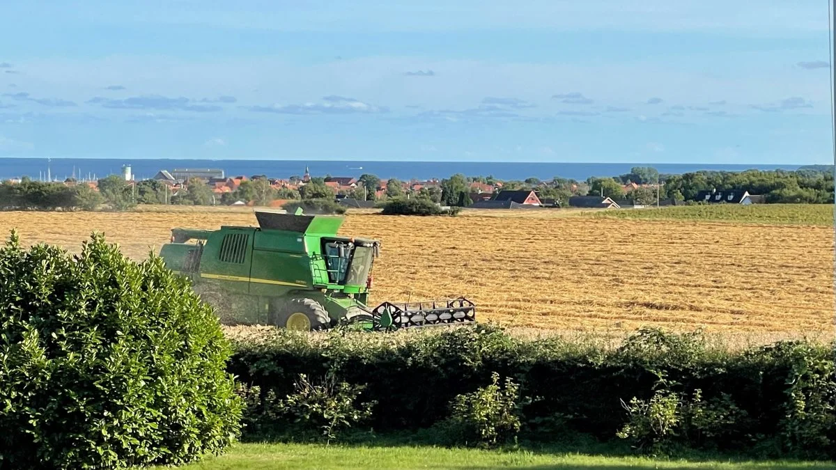 Thor Gunnar Kofoed angiver udbyttet i vinterhvede på Østbornholm til ofte at være 10 t/ha. - Men klipperne i markerne skal jo trækkes fra i arealet, påpeger han som noget særligt for Bornholm.
