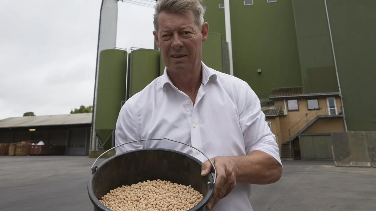 Dyrkning af modne ærter er vendt tilbage. Det finder Michael Lorentzen meget spændende og samtidig oplagt, idet denne lokale proteinafgrøde indgår i produktionen på Skamby-fabrikken af slagtekyllingefoder til Danish Agro-kunder over hele landet.