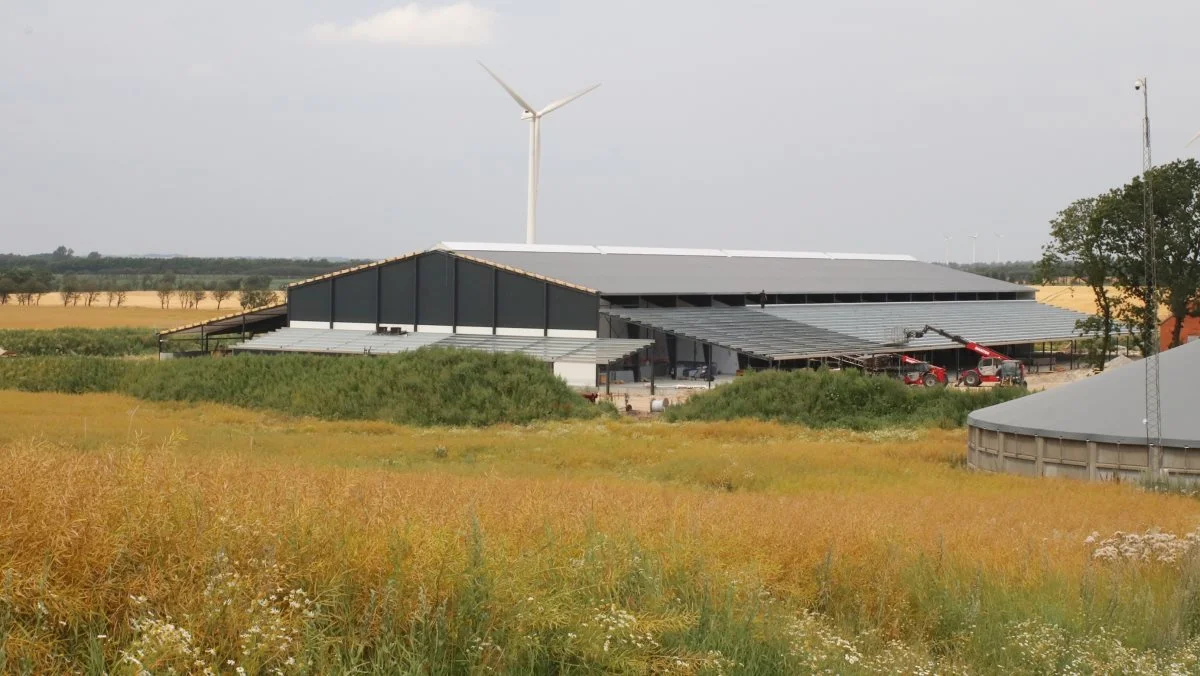 Den nye stald, der er grundlag for 45 nye arbejdspladser, er 100 meter lang. Der er åbent hus den 9. september fra kl. 11-16. 