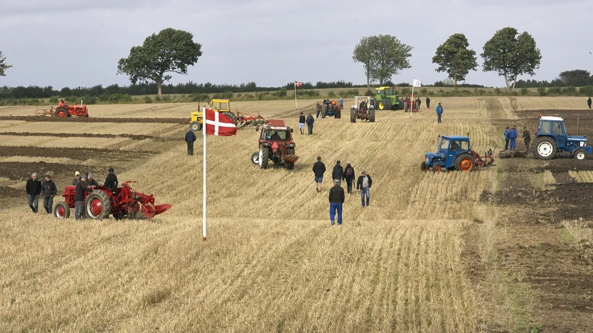 På lørdag den 11. september afvikler veterantraktorklubben for 10. år i træk aktivitetsdag og det fynske mesterskab i pløjning på Brobygård ved Brobyværk. Billedet er fra sidste år, hvor der deltog 65 pløjere. Foto: Erik Hansen