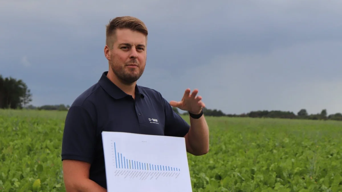 - Nu er Betanal Power udgået og det understreger vigtigheden af den rette timing af sprøjtningerne mod netop den ukrudtsflora, man har i sine roemarkerne understreger Jesper Kystgaard, BASF.