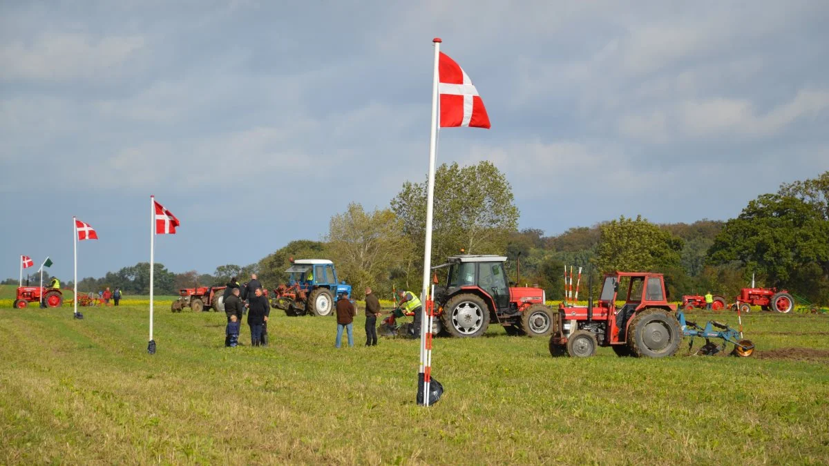 Både lokale og pløjere fra andre landsdele stiller op ved Langelands Veteranpløjeres pløjedag. Billedet er fra det seneste arrangement i 2019. Foto: Camilla Bønløkke