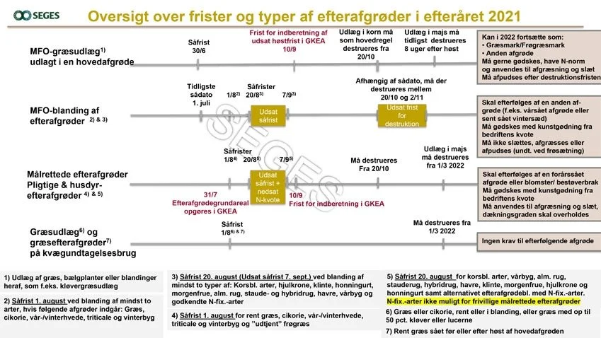 Hvornår må de forskellige typer af efterafgrøder destrueres her i 2021? Og øvrige aktuelle regler og frister for efterafgrøder lige nu. Kilde: Seges