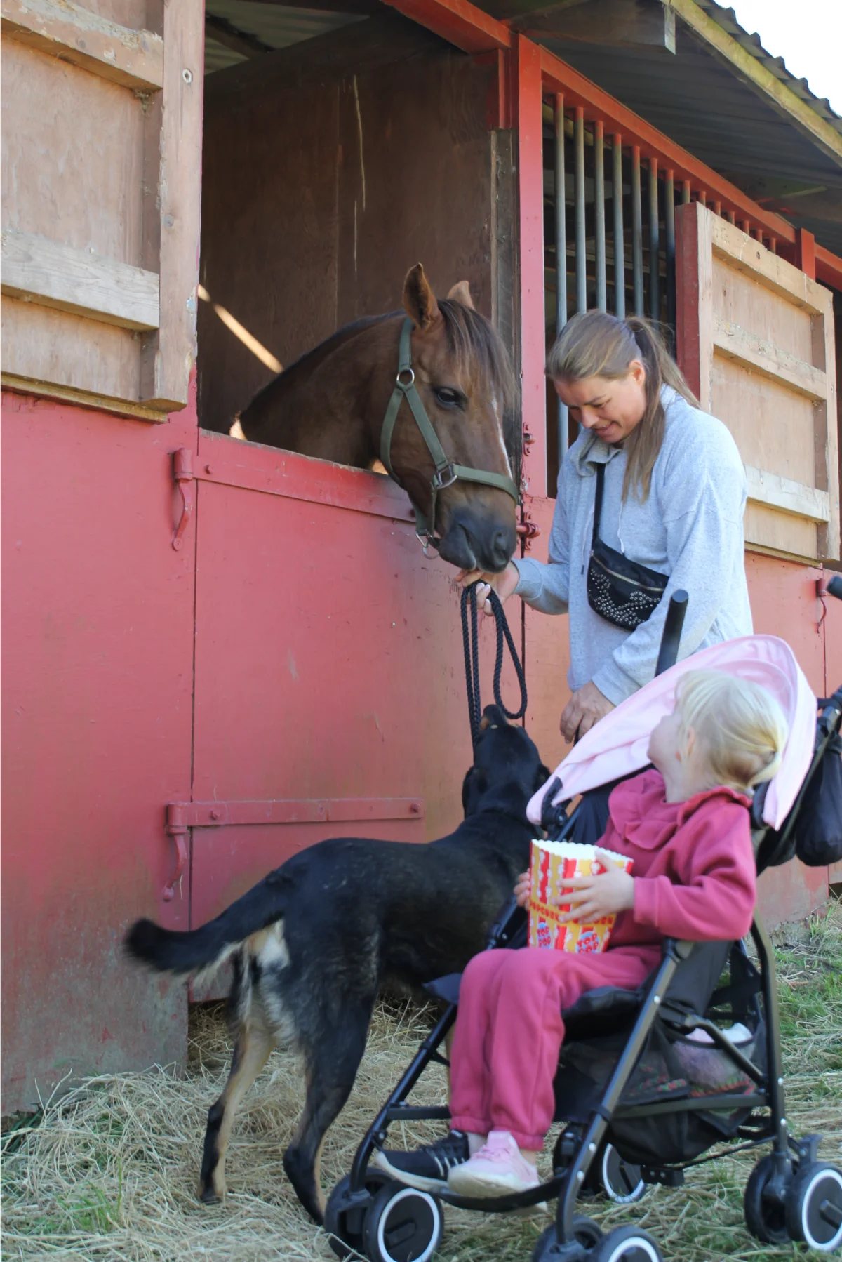 Mette Trantel og datteren Sofie på tre år med deres gadehund fra Bosnien, der oplevede nye bekendtskaber. Foto: Jesper Hallgren