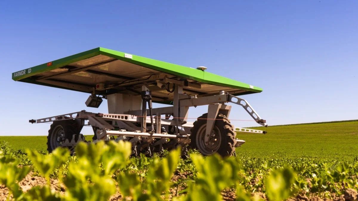 Farmdroid håber på, at krav til færre sprøjtemidler kan være med til at styrke salget af deres robot, der kan luge mellem planterne i marken.