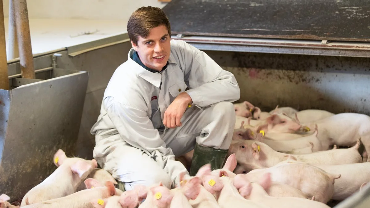 Svinekonsulent Jonas Bøge Breinholt, Velas, vurderer, at grisen, der overføres til restgrisestalden, skal op på en pris på 200-300 kroner for, at det ikke længere vil kunne betale sig at producere den. 