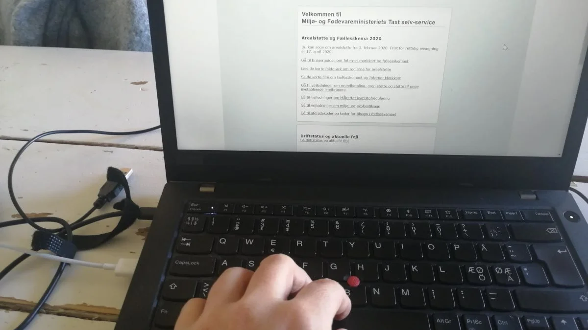 Hvis du har overdraget betalingsrettigheder for 2022, men ikke har kunnet registrere overdragelsen i Tast selv-service, kan du gøre det nu. Arkivfoto