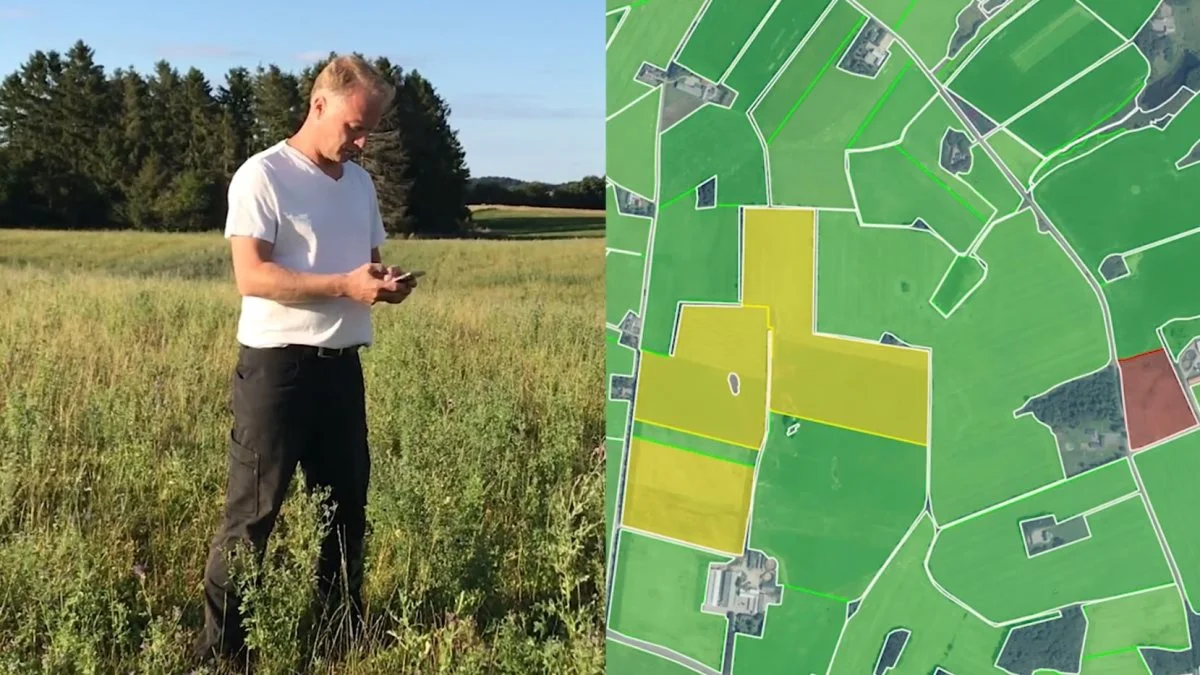 Landbrugsstyrelsen kan med satelittkontrol nu kontrollere 100 procent af markerne mod før 5 procent af markerne. Landmanden kan selv følge med fra mobilen.