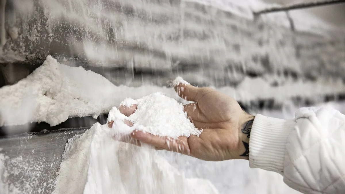 Hos KMC producerer man ingredienser til fødevareindustrien lavet af kartofler. Foto: Food Nation. 