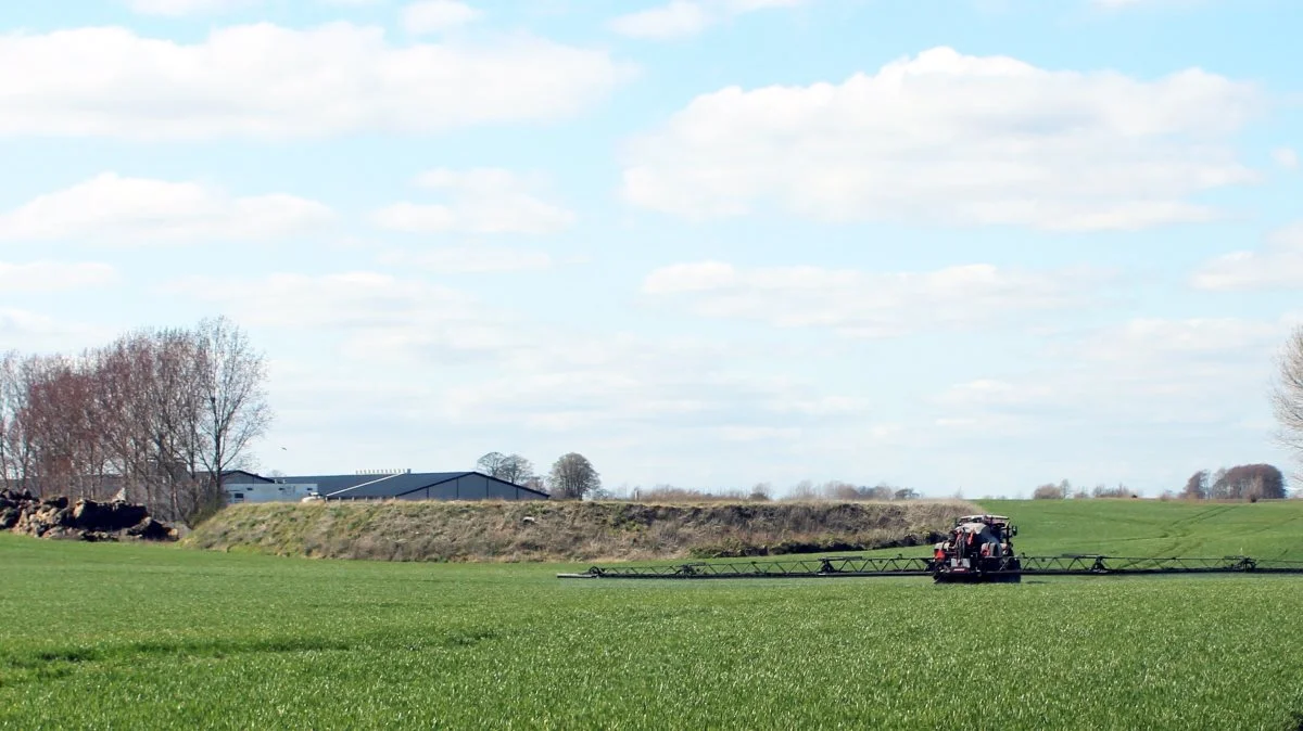 Står det til Danva, Danske Vandværker og Danmarks Naturfredningsforening, så skal det være slut med at bruge sprøjtmidler i vandindvindingsområderne. 