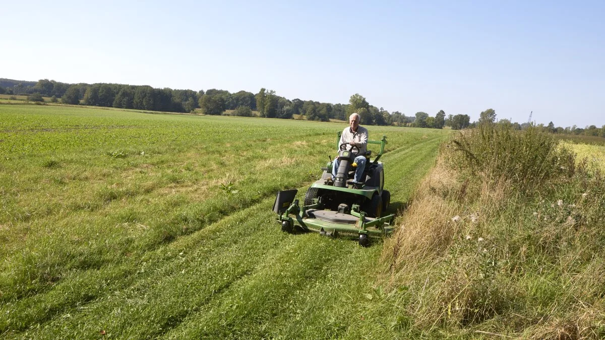 Midt gennem landbrugsarealerne på Rønningesøgaard er anlagt flere brakstriber i forbindelse med stedets biotopplan. Til venstre er det en pløjet insektvold, og til højre for græssporet, som Stig Bille Brahe skal sørge for at slå jævnligt, ses den udyrkede del af biotopen. Foto: Erik Hansen.