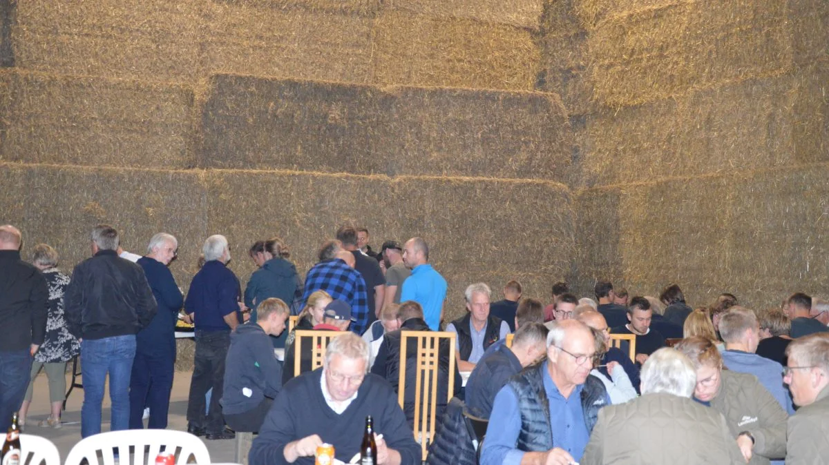 Der var først og fremmest lagt op til en hyggelig aften i enden af halmladen, da RDM og Holstein Fyn forleden afholdt besætningsbesøg og grillaften hos Jesper Navne på Sønderskovgård syd for Spodsbjerg. Fotos: Camilla Bønløkke