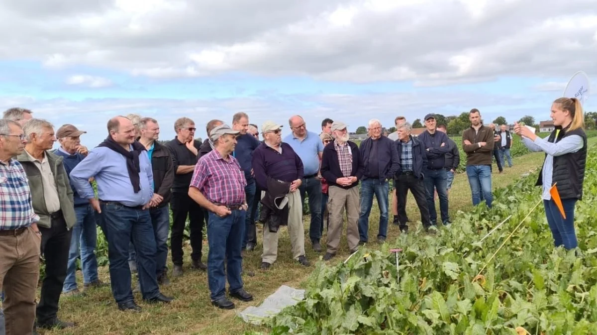 Planteavlskonsulent Mette Andersen, Nordic Sugar, har indlæg om bladsvampebekæmpelse i sukkerroerne på den netop afholdte markdemo-dag på Sofiehøj Forsøgscenter ved Holeby på Lolland. Fotos: Finn Sørensen