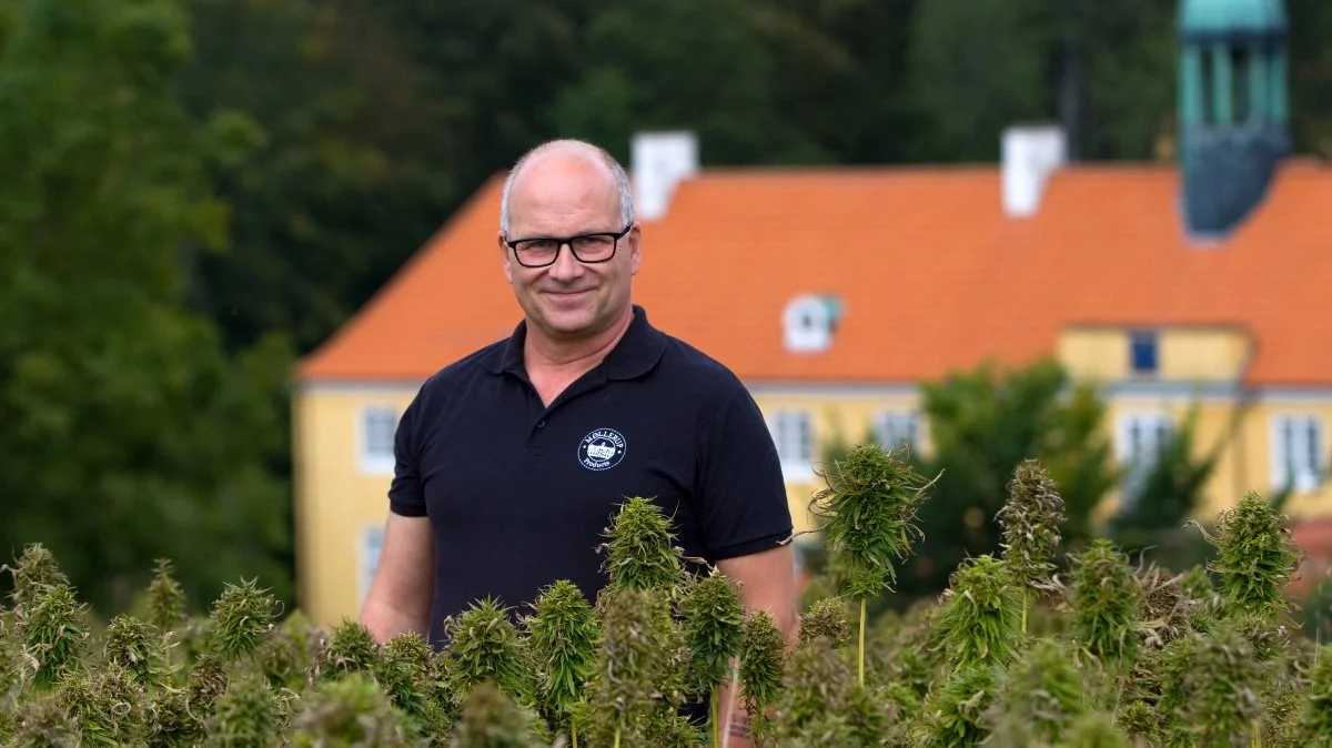 Direktør for Møllerup Brands Henrik Rendbøll håber det nye samarbejde med Danish Agro kan skubbe salget af hampprodukter ud over rampen. Fotos: Møllerup Brands