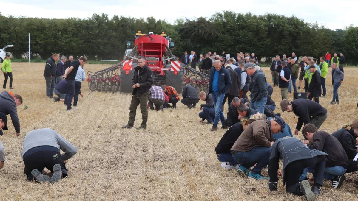 Planteavlere studerer med stor interesse placeringen af hvedesåsæden efter en Horsch-såmaskine. Foto: Jørgen P. Jensen