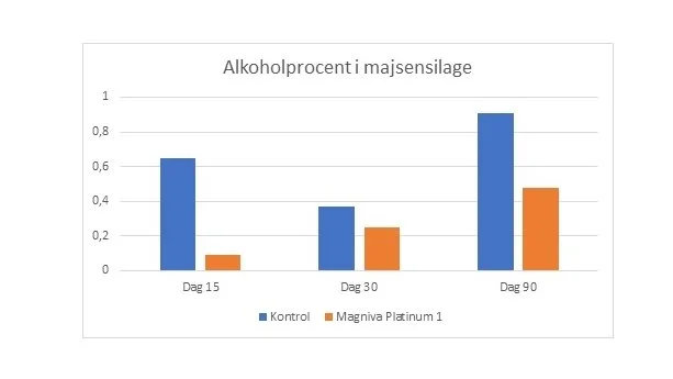 Ensileringsmidler som Magniva Platinum 1, der indeholder de heterofermentative bakterier L. buchneri og L. hilgardii, har vist sig effektivt til at reducere alkohol i majsensilage. Forsøgsresultater af Szucs J.P et al. 2015. Kilde: Lallemand Nordic