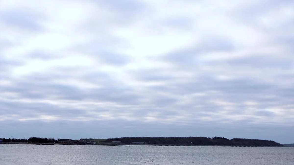 Muslinger som kvælstofvirkemiddel vil også have miljøeffekt om sommeren, hvor fjordene er mest følsomme, påpeger L&F's miljødirektør Anders Panum.