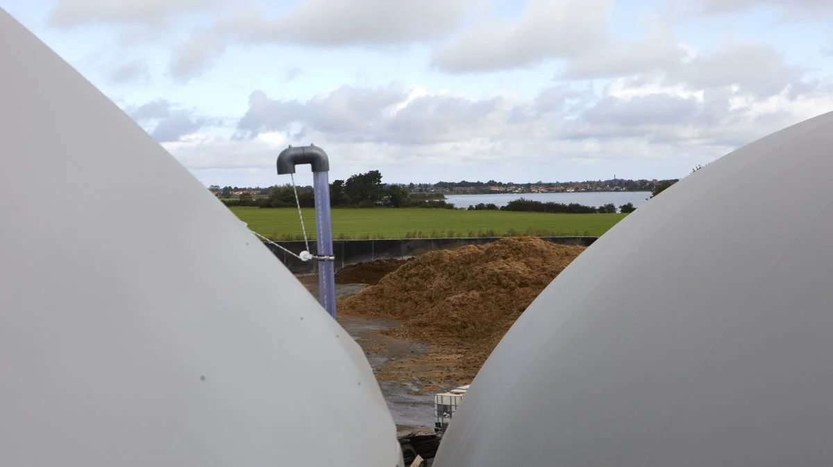 I reaktorerne på Pilegården ved Ladby produceres dagligt 9.000 kubikmeter biogas til det offentlige gasnet. I baggrunden Kerteminde by og fjord. Foto: Erik Hansen