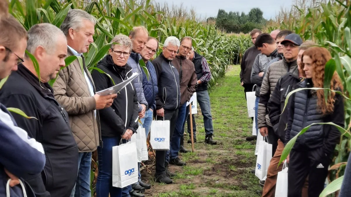 Der blev lyttet intenst i forbindelse med gennemgangen i majsparcellerne. Foto: John Ankersen

