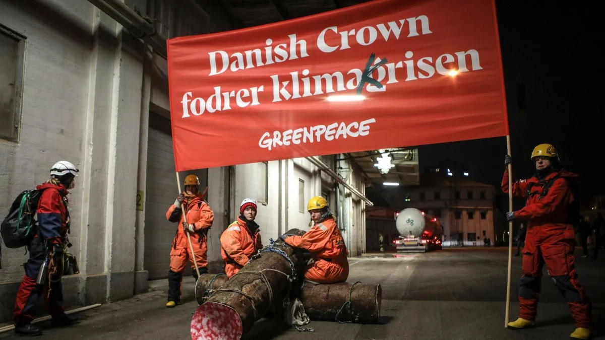 Det er ikke første gang, at Greenpeace går i kødet på Danish Crown. Senest i juni lavede de en kampagne, hvor de klistrede advarsler om »greenwashing og »ukontrolleret klimasvineri« på Danish Crown-produkter i en række af landets supermarkeder. Fotos: Greenpeace