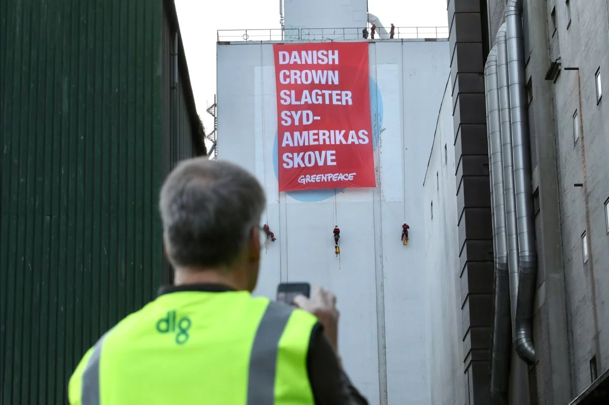 Danish Crown bliver blandt andet anklaget for »greenwashing«. Begrebet dækker over, når en virksomhed påstår, at deres produkter er mere bæredygtige, end de egentligt er. 