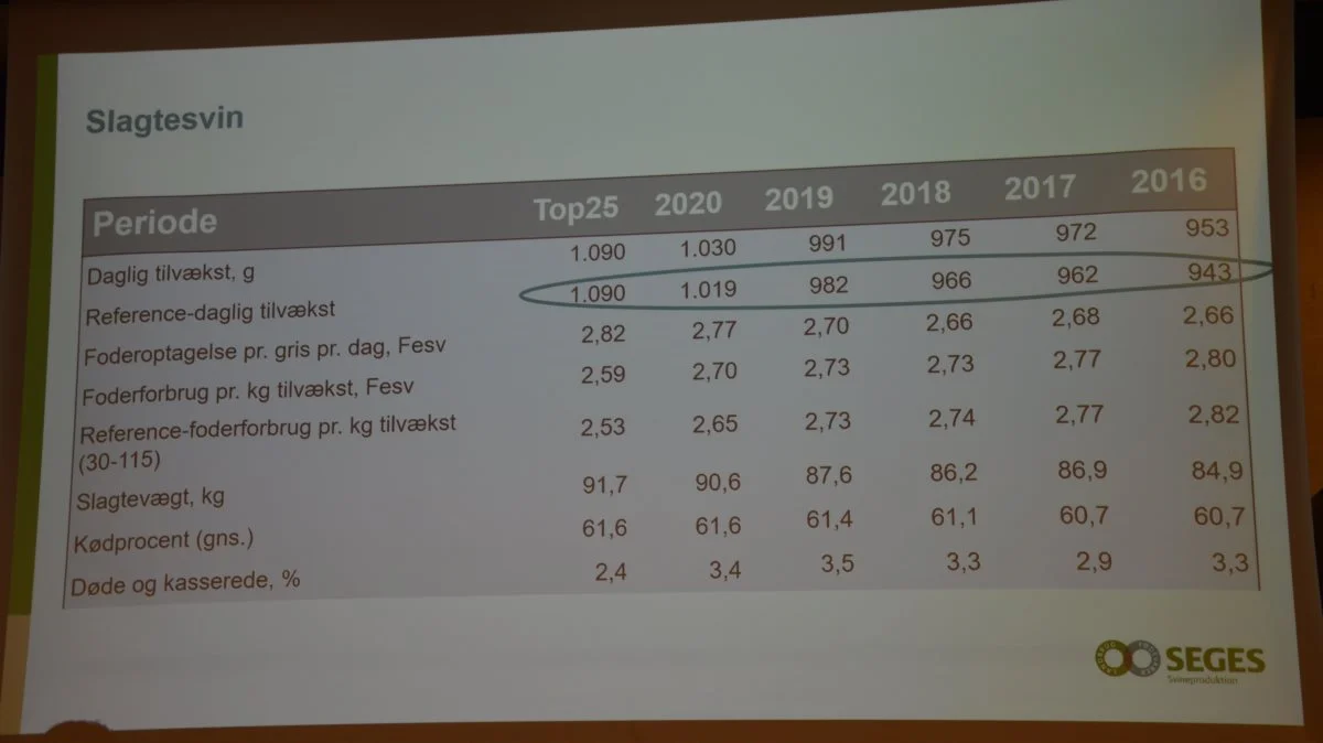 Ifølge sektordirektøren for Seges Svineproduktion er fremgang i effektivitet helt central for, at vi når målet om et reduceret klimaaftryk. Udviklingen hos slagtesvinene går i øjeblikket i den rigtige retning.