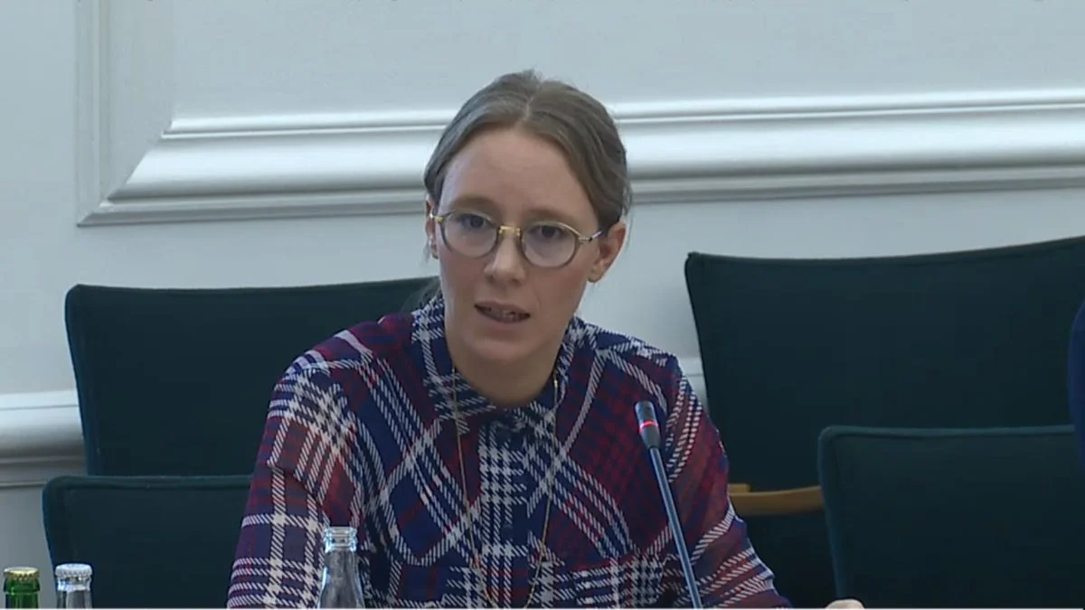 Miljøminister Lea Wermelin (S) vil ikke lave såkaldte grundvandsparker her og nu, lod hun forstå torsdag under et åbent samråd. Foto: ft.dk