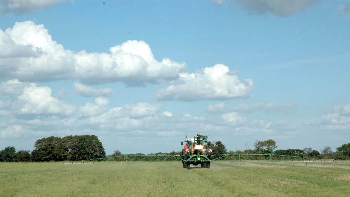 Står det til SF, skal det snart være slut med at bruge pesticider på et kæmpestort landbrugsareal. Foto: John Ankersen