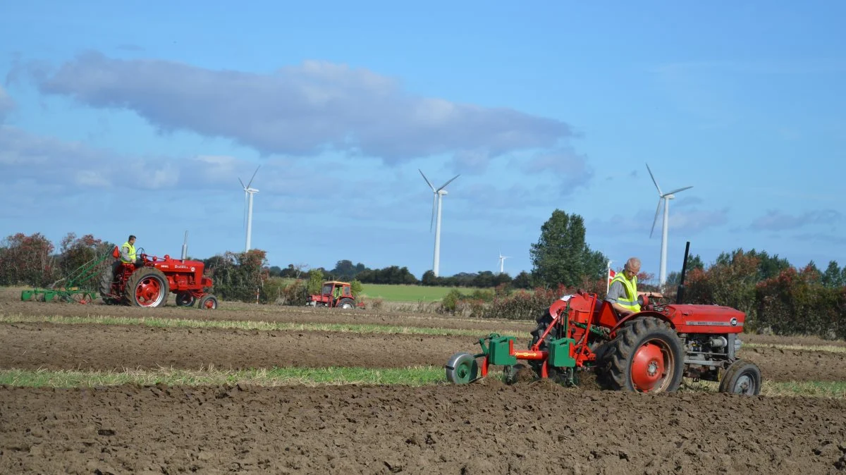 11 pløjere deltog i konkurrencen i år. Forrest i billedet ses Morten Kjærgaard fra Nysted på Lolland der blev placeret som nummer et med 106 point med sin Massey Ferguson 135.