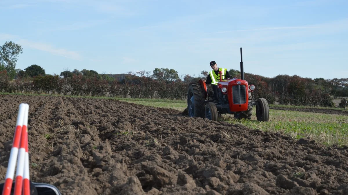 19-årige Martin Bruun deltog for første gang selv i hyggepløjningen med en Massey Ferguson 35’er, som han havde lånt af sin farfar.