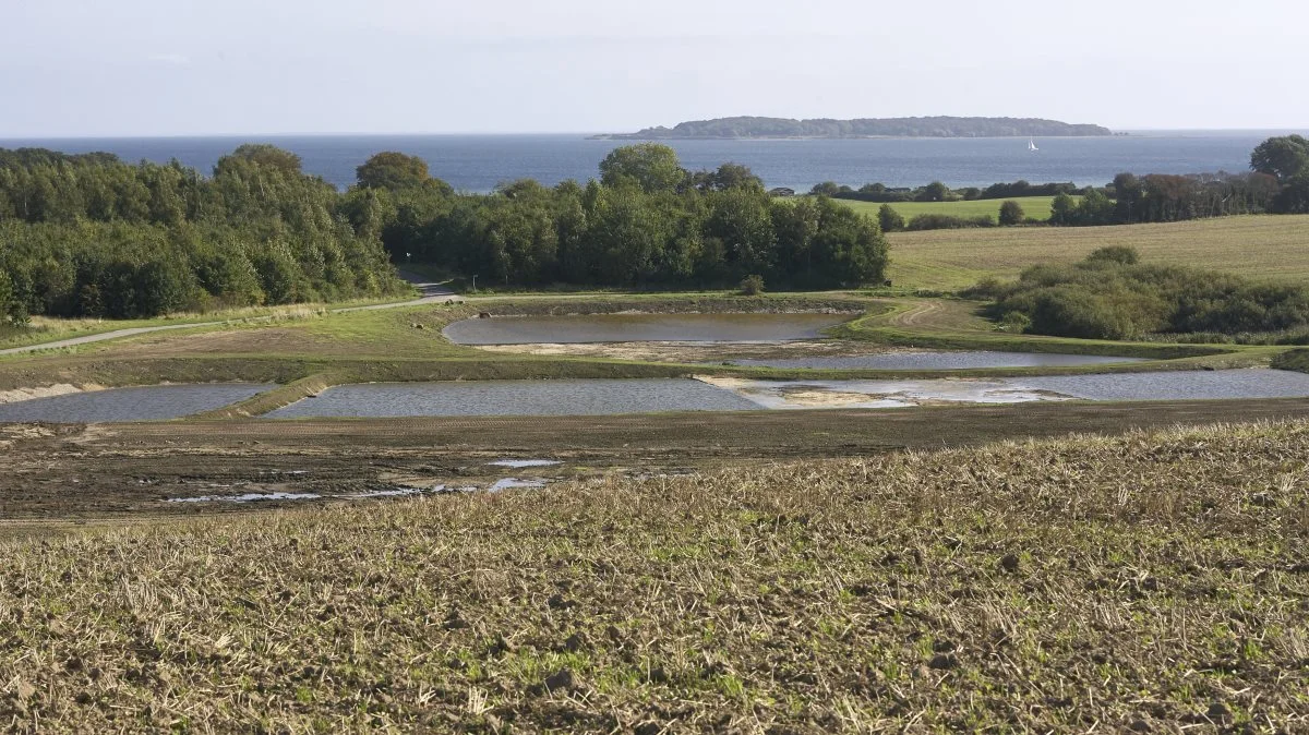 I de flotteste omgivelser kommer det naturligt udseende minivådområde ved Bøgebjerg på Hindsholm til at give landskabet en ekstra dimension. I baggrunden Romsø. Fotos: Erik Hansen