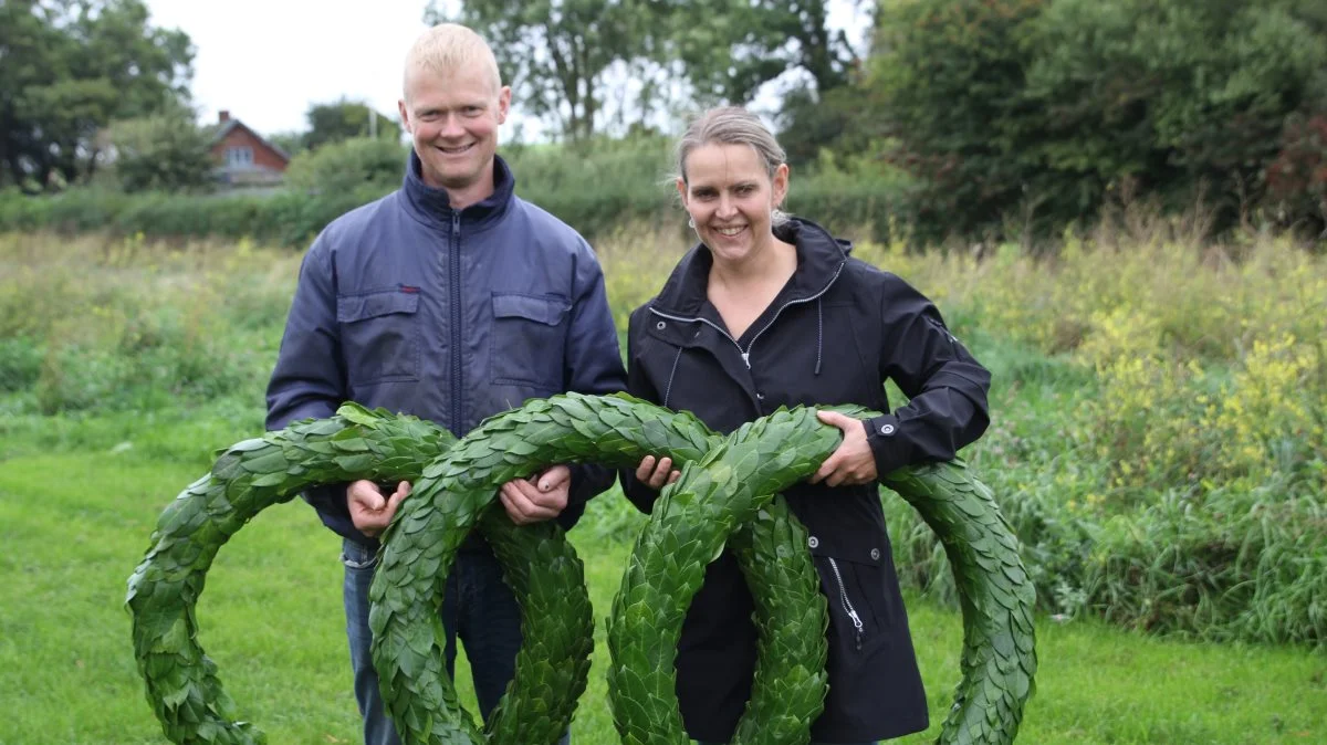 Niels Ulrik Andersen og Dorte Clausen, Juulsgaard i Ronæs på Vestfyn har netop fået hele tre jerseykøer hædret for den flotte præstation at runde 10.000 kg værdistof. Fotos: Henriette Lemvig