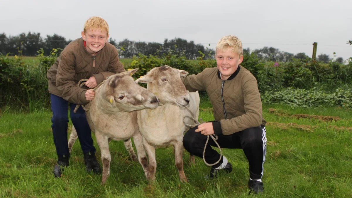 Jonathan på 12 år (tv.) og Tobias på 14 år har været med på dyrskuerne, siden de var ganske små. Tobias stiller også gerne op som trækker for sine bedsteforældre, der udstiller Jyske heste.