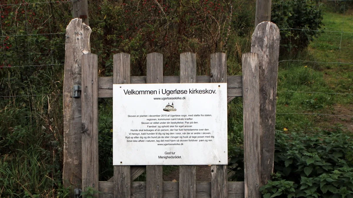 »Skoven er stillet under din beskyttelse. Pas på den«, lyder den opdragende besked til offentligheden, inden man går ind i den fem år gamle skov i Ugerløse. I alle skove over fem hektar er der offentlig adgang i Danmark.