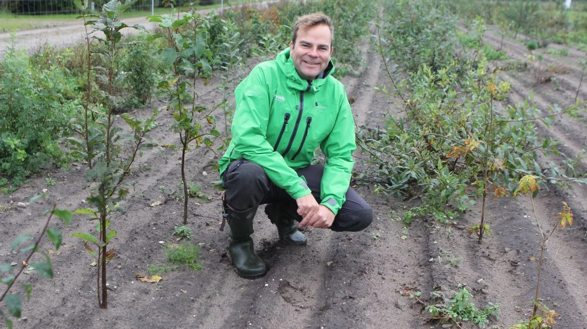 Martin Viborg har været skovfoged siden 2007, og i 2015 etablerede han Proviido, som de seneste tre år er bygget op og fokuseret på rådgivningsdelen af primært private skovejere i hele landet. Fotos: Line Brusgaard