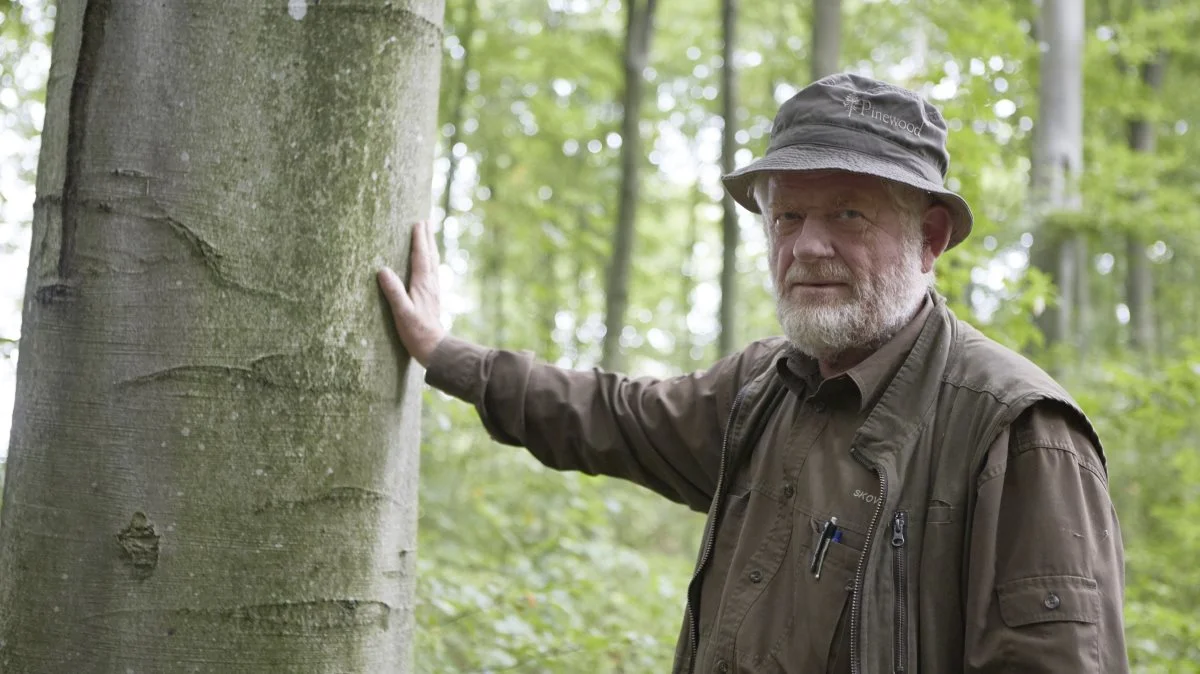 - Desværre er der gået stemmer i klima og natur, uden politikerne sætter sig dybere ind i den virkelige verden, siger Peder Dammand og ærgrer sig over, at 75.000 hektar statsskove måske skal omdannes til urørt skov. Foto: Erik Hansen