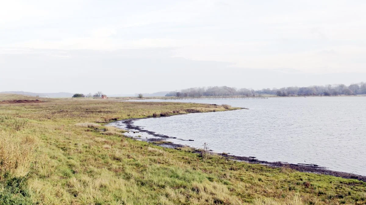 Udtagning af lavbundsjord har fyldt meget under landbrugsforhandlingerne. Parterne er blevet enige om at have en ambition om at udtage 100.000 hektar. 