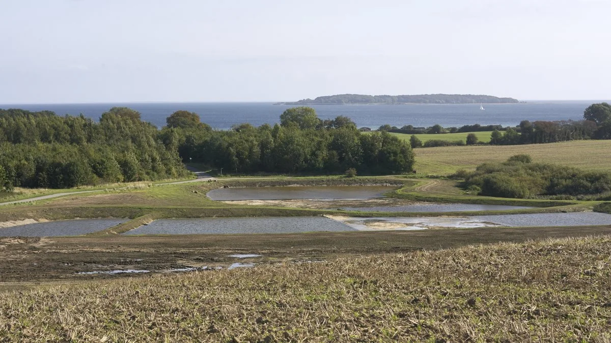 Flere minivådområder og andre kollektive virkemidler skal i de kommende år sikre, at kvælstofudledningen bliver reduceret. Foto: Erik Hansen