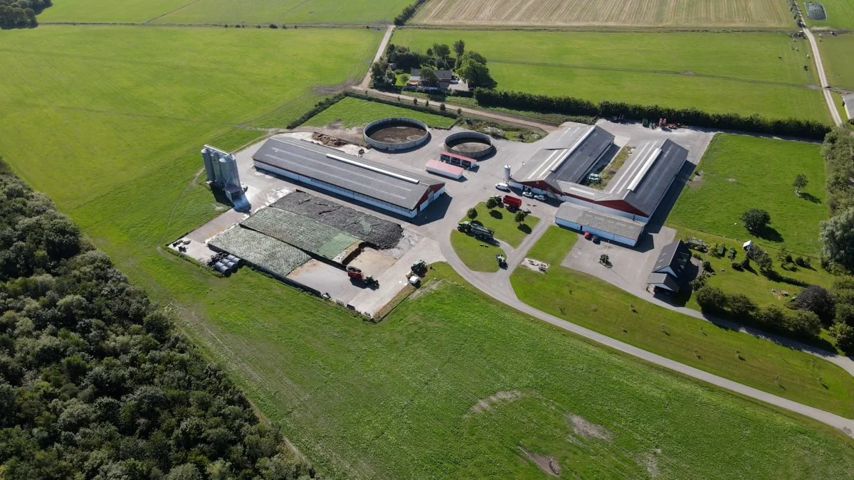 På Kærsholm Overgaard drives økologisk mælkeproduktion med cirka 200 køer og 300 hektar. Foto: Semler Agro