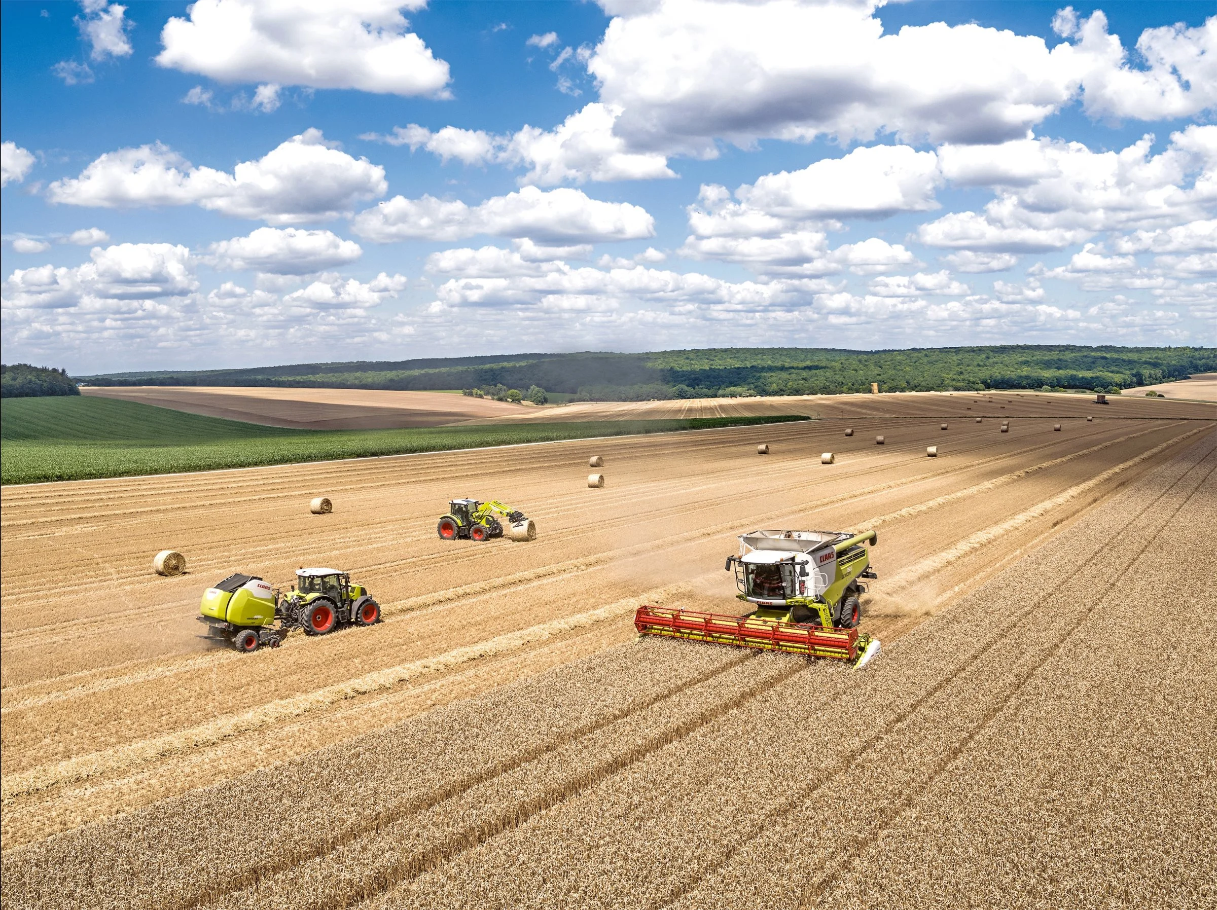 Den svenske høst har ikke været nær så givende i år som i de foregående, hvilket har resulteret i nedgang i landbrugssektoren. Arkivfoto: Danish Agro